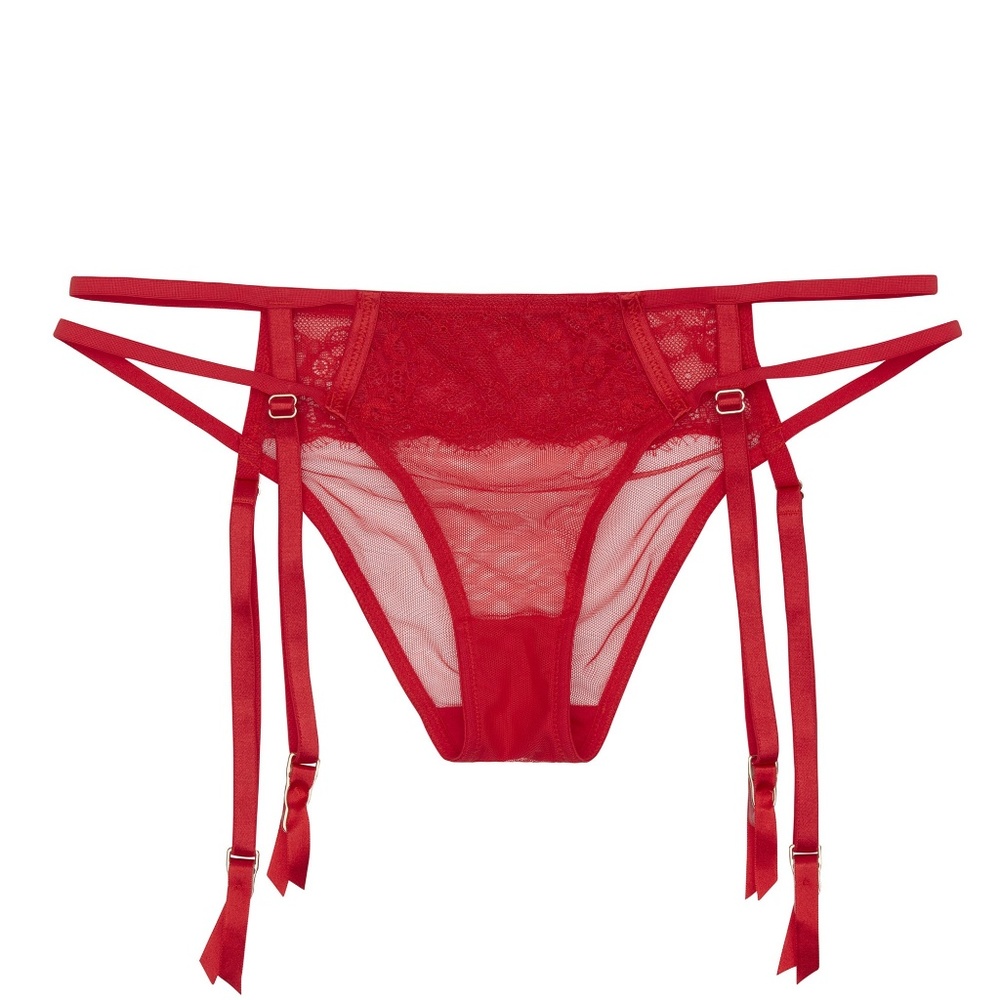 Playful Promises Red mesh lace garter belt panty